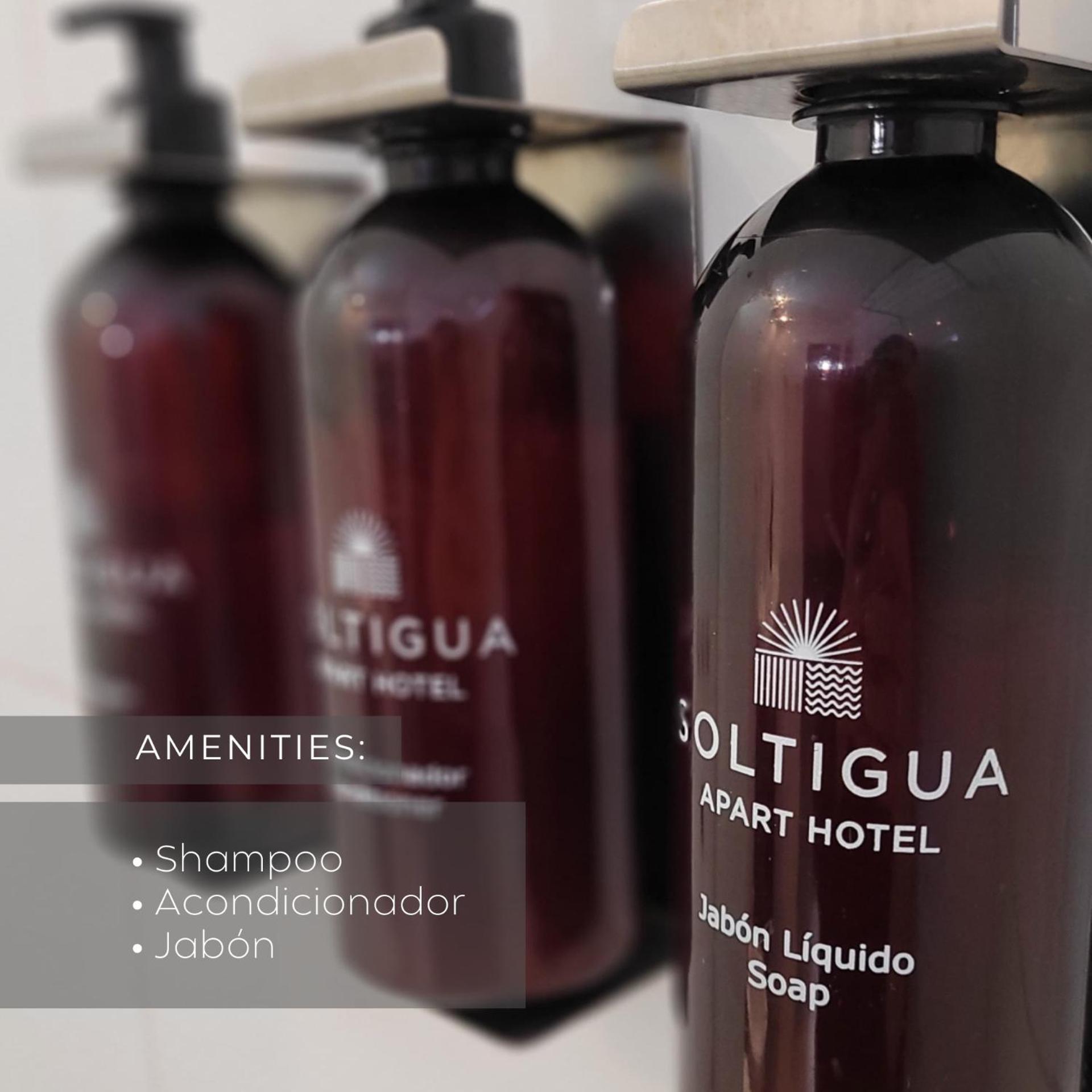 Soltigua Apart Hotel Mendoza Dış mekan fotoğraf
